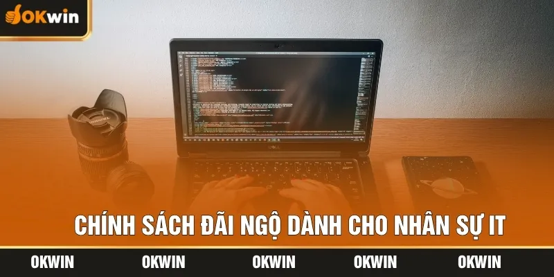 Chính sách đãi ngộ dành cho nhân sự IT
