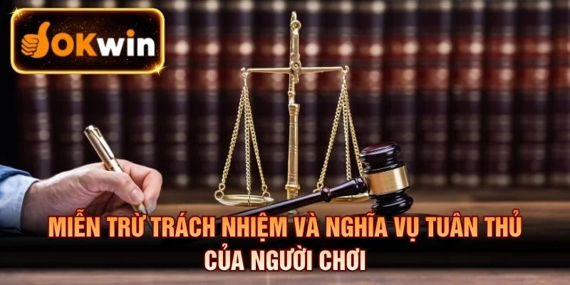 Miễn trừ trách nhiệm quy định nghĩa vụ người chơi hệ thống