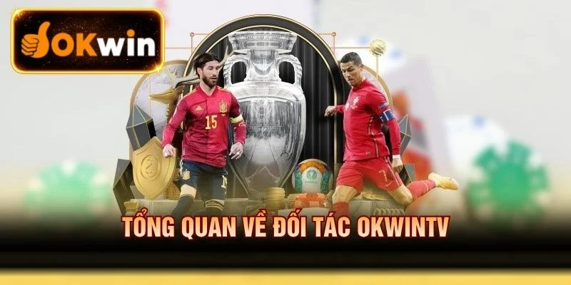 Thông tin chung về đối tác Okwintv