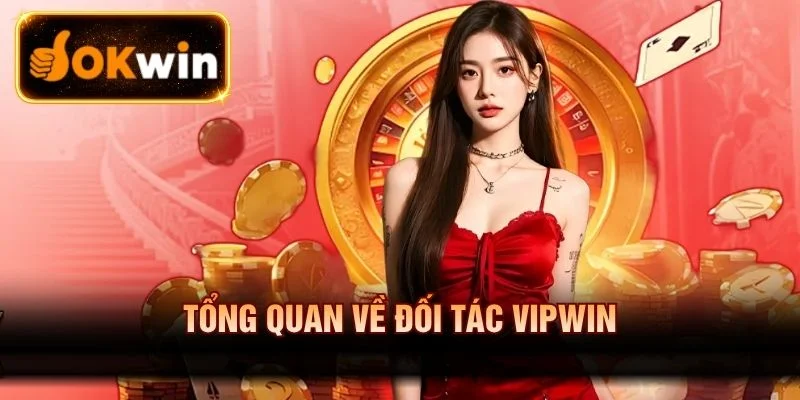Tổng quan về đối tác Vipwin